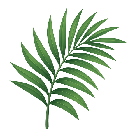 A green palm leaf.